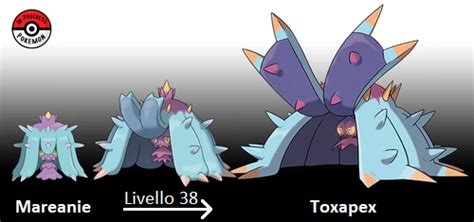 marine evolution pokemon.